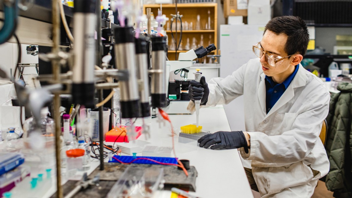 Undergraduate research assistant David Karasz, prepares cultures of Paraburkholderia for scanning electron microscopy to identify cellular structures involved in chain formation.
