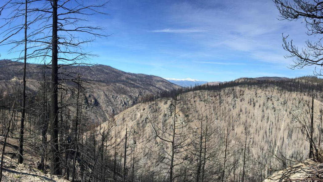 A view near Loup Loup Pass showing the impacts of the Carlton Complex wildfire in 2014.