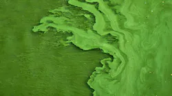 Mihaly Koles G R Ag Ac P7j I Unsplash 5e387d7475756