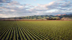 Adopting practices that promote soil health can help farms increase the number of beneficial insects and improve soil tilth, water infiltration, and water holding capacity, leading to decreased costs for pesticides, fertilizer, and irrigation.