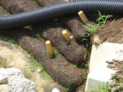 Camp Lejeune stream bank restoration Camp Lejeune stream bank restoration
