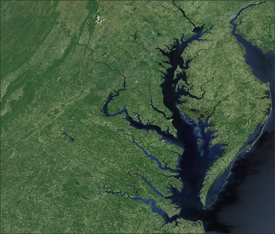 Algae blooms in places like the Chesapeake Bay are becoming more frequent and can result in harmful dead zones.