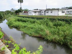 Figure 10 B. The completed wall with vegetation planted. Figure 10 B. The completed wall with vegetation planted.