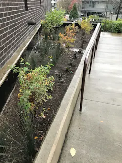 The flow-through planter after replanting