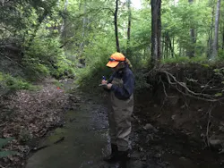 Duke University researchers have found high levels of selenium in aquatic insects and the spiders that feed on them downstream from a major coal mining site in southern West Virginia.