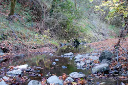 The property purchased by TIRN