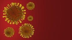 Milospauline Dreamstime 174836512 5ea1ac994a72d Milospauline Dreamstime 174836512 5ea1ac994a72d