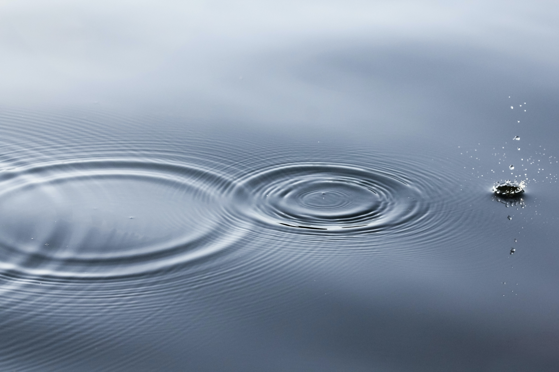 Linus Nylund Q5 Qsplu N Zm M Unsplash 5ea71ae898ecf
