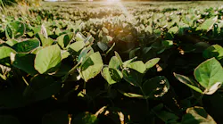 Meredith Petrick 83 R Jn K0 Ub W4 Unsplash