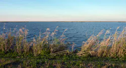 The project will provide ecological benefits, reduce harmful discharges to local estuaries, and send clean water to the Southern Everglades and Florida Bay.