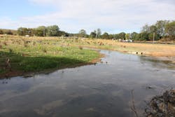 The confluence of a tributary (right) with the main stem of Piney Run The confluence of a tributary (right) with the main stem of Piney Run