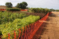 The crew installed toewoods, which incorporate woody material to address erosion and replicate natural streambanks. The crew installed toewoods, which incorporate woody material to address erosion and replicate natural streambanks.