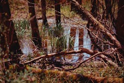 Alex Simpson O Je Gd Pd Yz8 Unsplash 5ec5b972cb113 Alex Simpson O Je Gd Pd Yz8 Unsplash 5ec5b972cb113