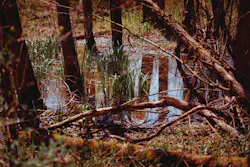 Alex Simpson O Je Gd Pd Yz8 Unsplash 5ec5b972cb113 Alex Simpson O Je Gd Pd Yz8 Unsplash 5ec5b972cb113