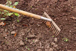Rake 2915742 1920 5eb59d6b94f2a