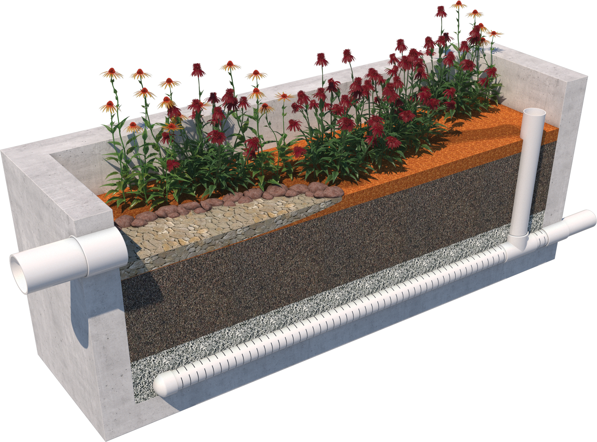 Storm Vault Biofiltration Planter Box