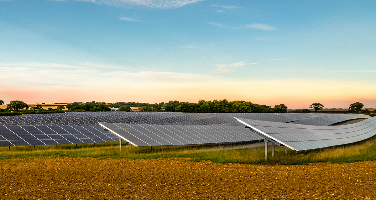 Dreamstime Sarah Dowson 75104835