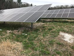 Area of ponding under solar panels due to improper site grading. Area of ponding under solar panels due to improper site grading.