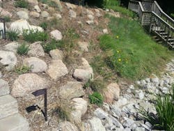Vegetation developing on the slope after construction Vegetation developing on the slope after construction