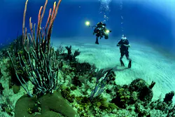 Study suggests nutrients worsen the already devastating effects of climate change on corals. Study suggests nutrients worsen the already devastating effects of climate change on corals.