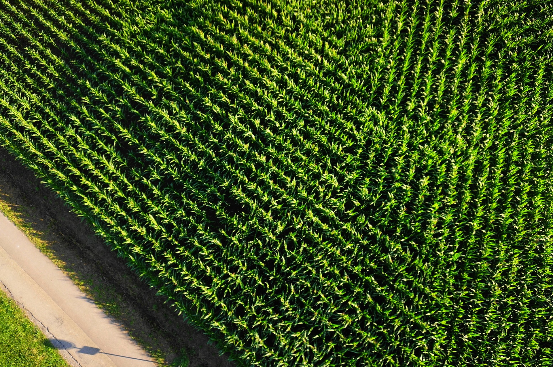 Aerial View 2830059 1920 5f68d9965e1de