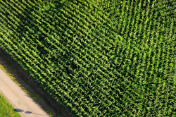 Aerial View 2830059 1920 5f68d9965e1de