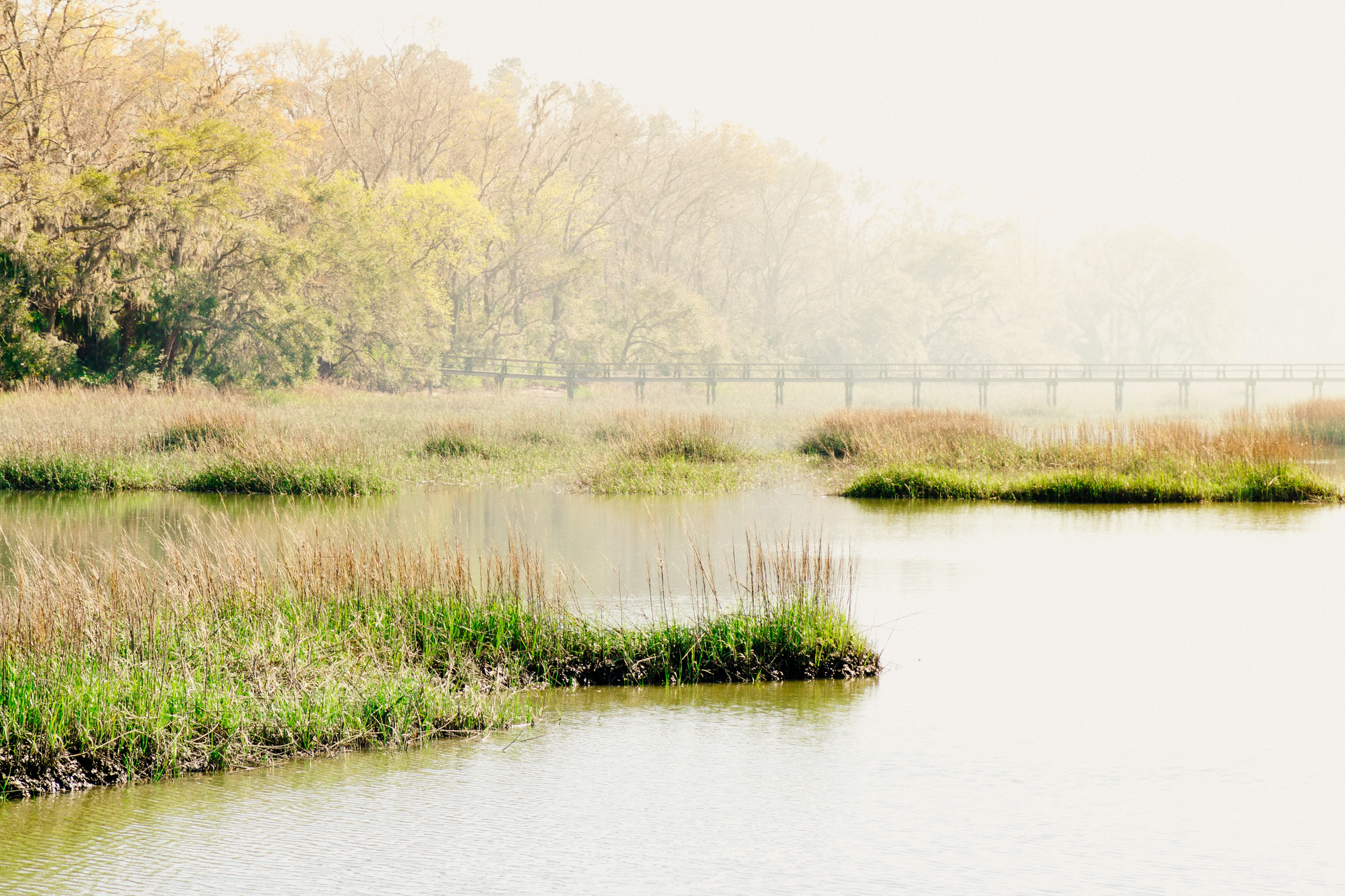 Eric Muhr B Rrnju En Dl A Unsplash 5f60ed6ee98e3