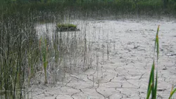 Marl 456604 1920 5f84cd1038e1b Marl 456604 1920 5f84cd1038e1b