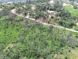 Although fire-damaged trees dot the landscape, green low-lying vegetation has covered the hillside, holding soil and dirt in place.