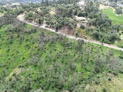 Although fire-damaged trees dot the landscape, green low-lying vegetation has covered the hillside, holding soil and dirt in place. Although fire-damaged trees dot the landscape, green low-lying vegetation has covered the hillside, holding soil and dirt in place.