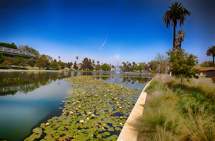 Bf6f702f 6587 49f8 A971 3db7fca4d68f 5f889bf3a5173