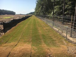 Solid sodding provides an immediately stabilized vegetative buffer between perimeter silt fencing and a fence installed to prevent the federally protected and listed as threatened gopher tortoise from entering the work area and future highway. Solid sodding provides an immediately stabilized vegetative buffer between perimeter silt fencing and a fence installed to prevent the federally protected and listed as threatened gopher tortoise from entering the work area and future highway.