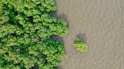 Waranont Joe X Iw Yx U9y Nu Unsplash 5fad7d0f71b28 Waranont Joe X Iw Yx U9y Nu Unsplash 5fad7d0f71b28