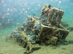 An artificial reef, known as The Pyramids, in Indonesia An artificial reef, known as The Pyramids, in Indonesia