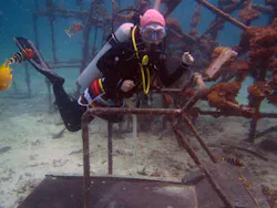 A sunken treadmill offers a good photo opportunity, but not much by way of habitat in an artifical reef. A sunken treadmill offers a good photo opportunity, but not much by way of habitat in an artifical reef.