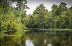 Bayou 439881 1920 5fd7f548097f3 Bayou 439881 1920 5fd7f548097f3