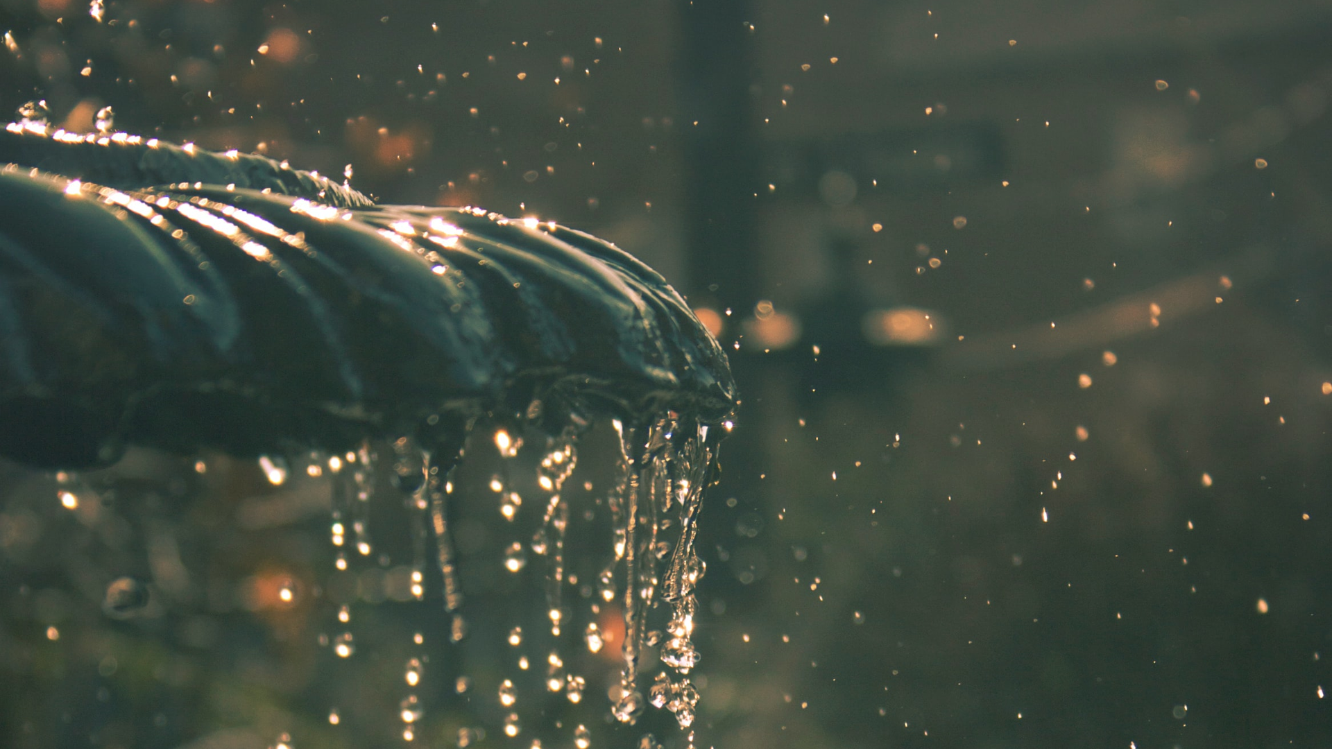 John Wilson N Qtuv9 J Tz Ys Unsplash 5fff28c31f436