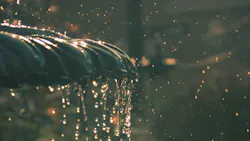 John Wilson N Qtuv9 J Tz Ys Unsplash 5fff28c31f436 John Wilson N Qtuv9 J Tz Ys Unsplash 5fff28c31f436