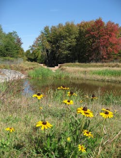 An extended detention pond in Anne Arundel County, Maryland. An extended detention pond in Anne Arundel County, Maryland.