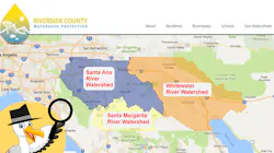 Mascot Sunny the Seagull in action. Mascot Sunny the Seagull in action.