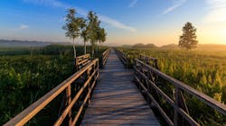 Conservation Spring Lake 4352793 1920 602aabb57be7c Conservation Spring Lake 4352793 1920 602aabb57be7c