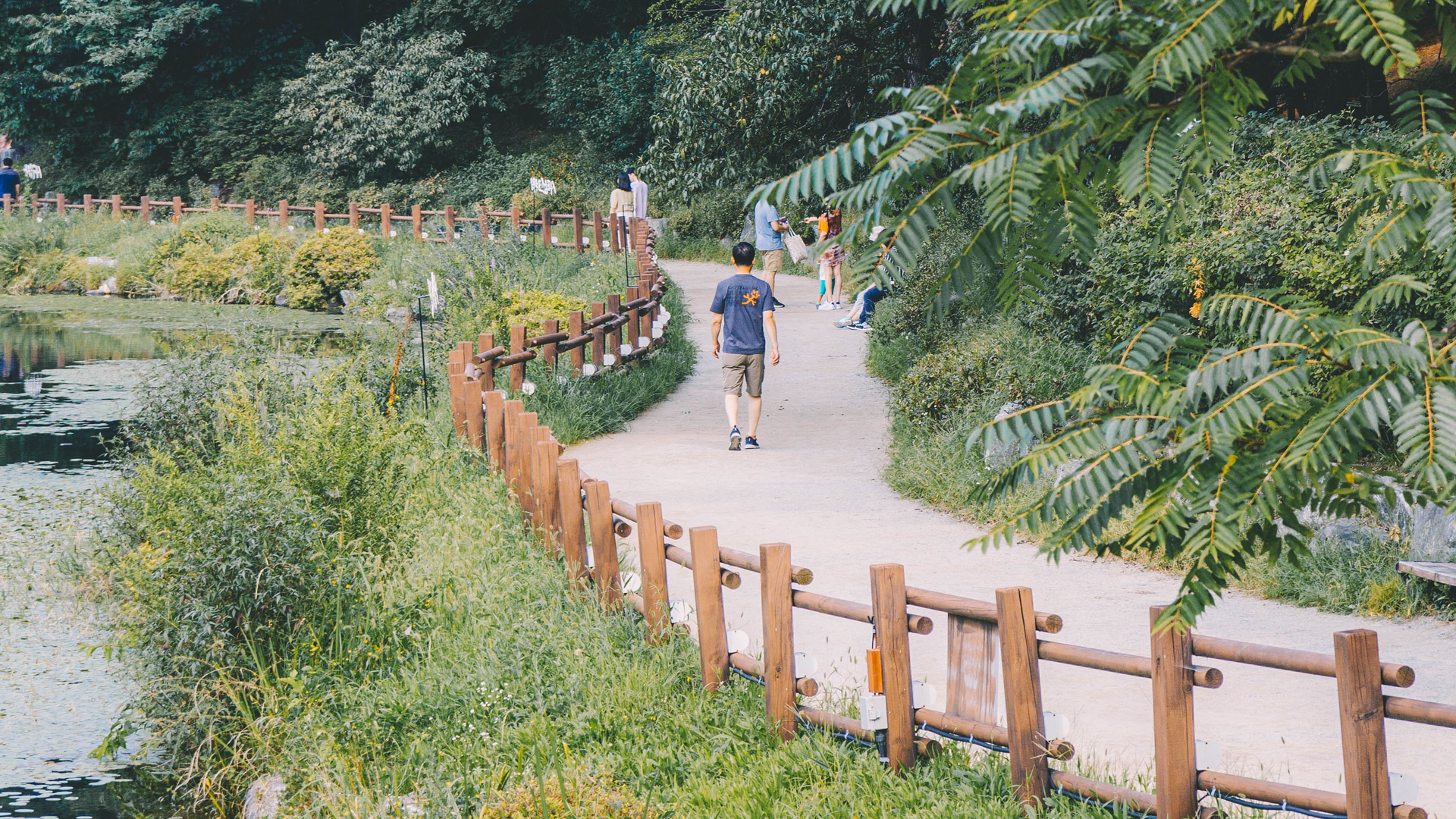 Park Path Green Infrastructure Bundo Kim E Kk0j K 9x Q Unsplash 601c6c6708154