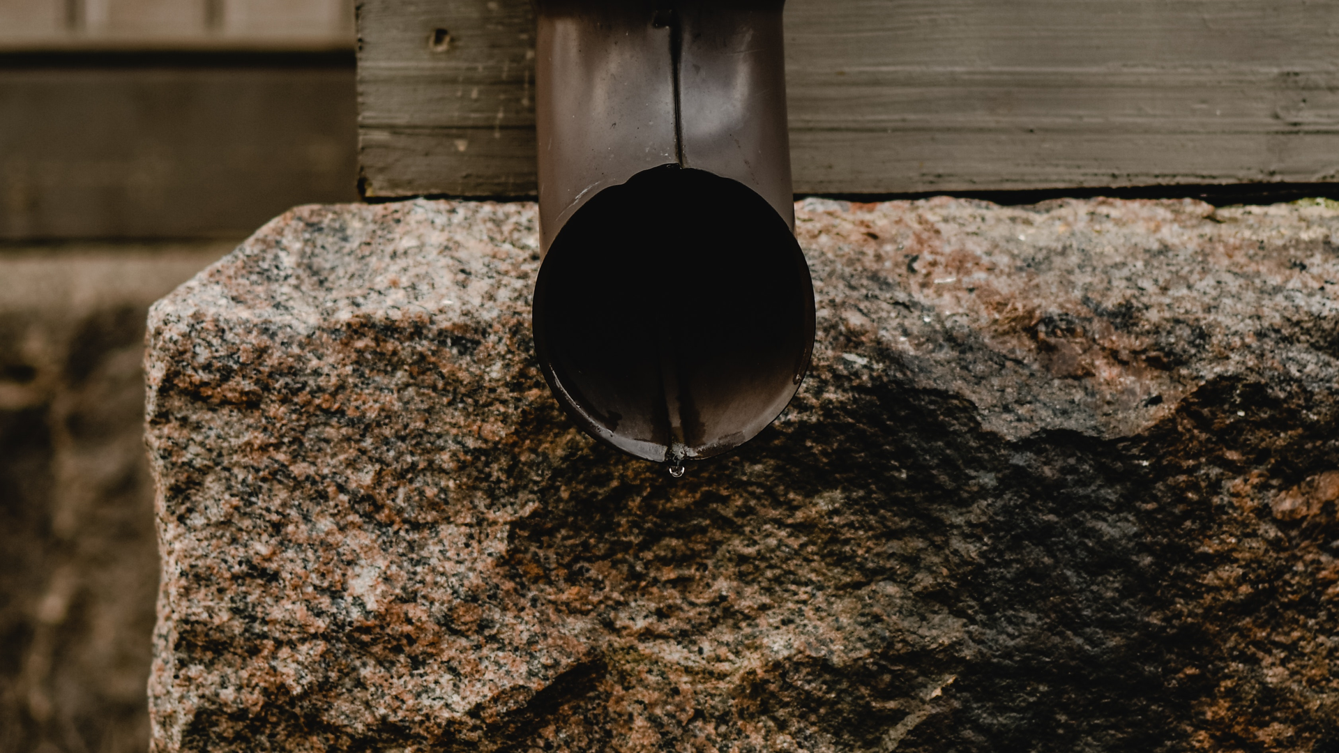 Pexels Eva Elijas 5940868 6036743556ea4