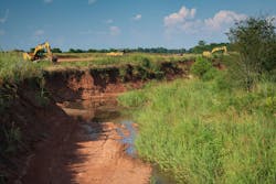 Willow Branch Willow Branch