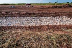 Willow Branch Willow Branch