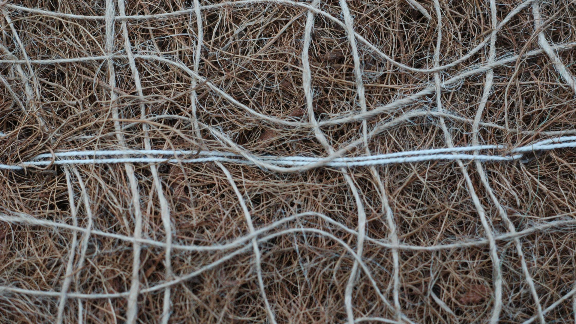 Flexible biodegradable netting controls erosion and allows wildlife to escape.