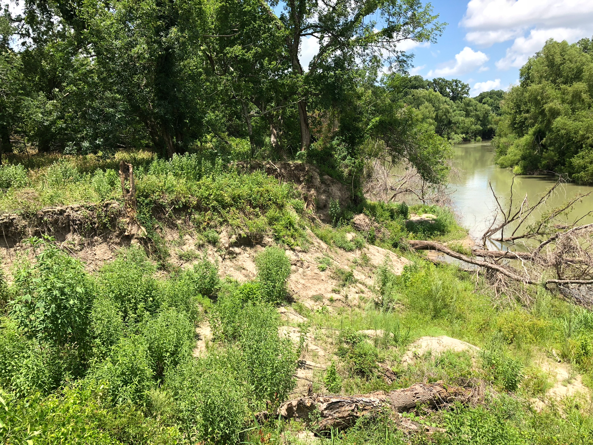Bank failure looking upstream.