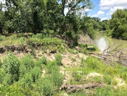 Bank failure looking upstream. Bank failure looking upstream.