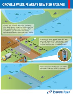 2105 S Wpp1 P05 Tsurumi Infographic Wildlife Restoration Work In Ca 2105 S Wpp1 P05 Tsurumi Infographic Wildlife Restoration Work In Ca