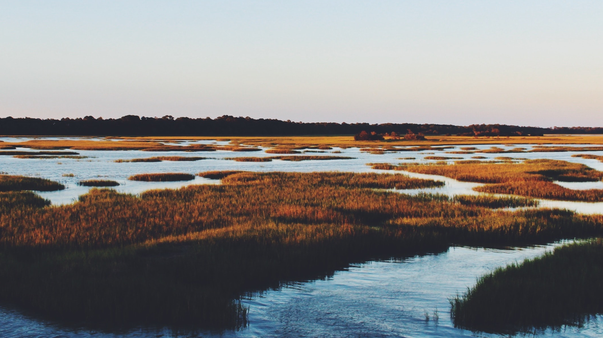 Folly Beach, SC.